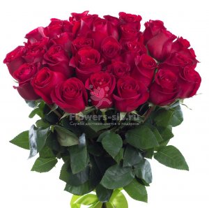 BOUQUET OF 37 ROSES